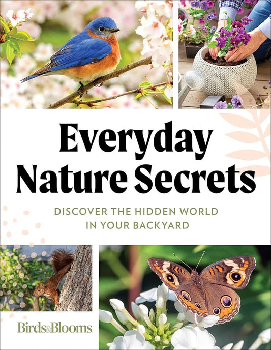 Birds & Blooms Everyday Nature Secrets: Discover the Hidden World in Your Backyard cover image