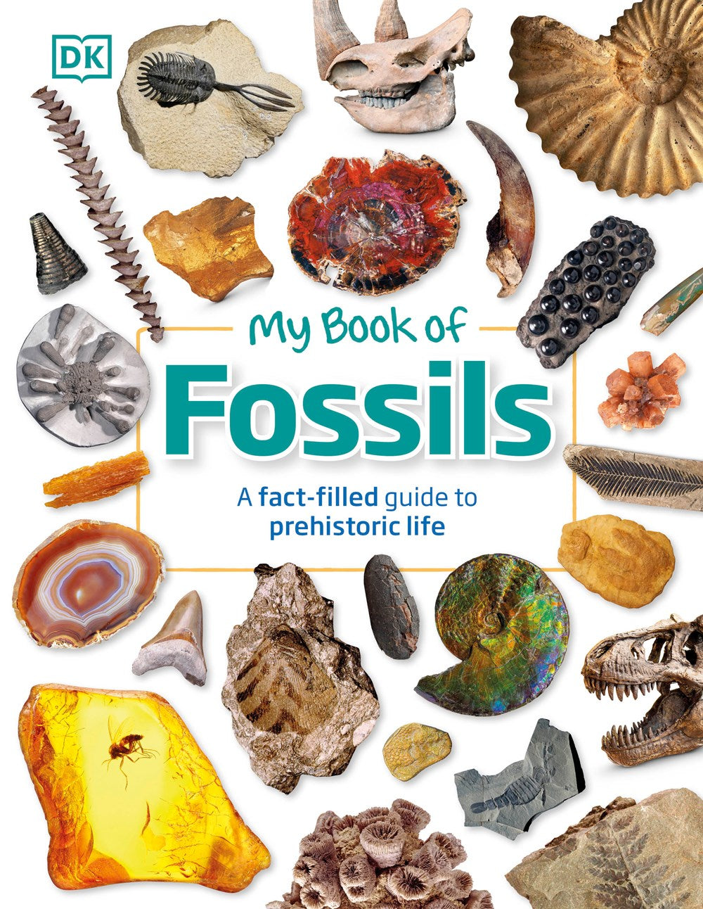 My Book of Fossils : A fact-filled guide to prehistoric life