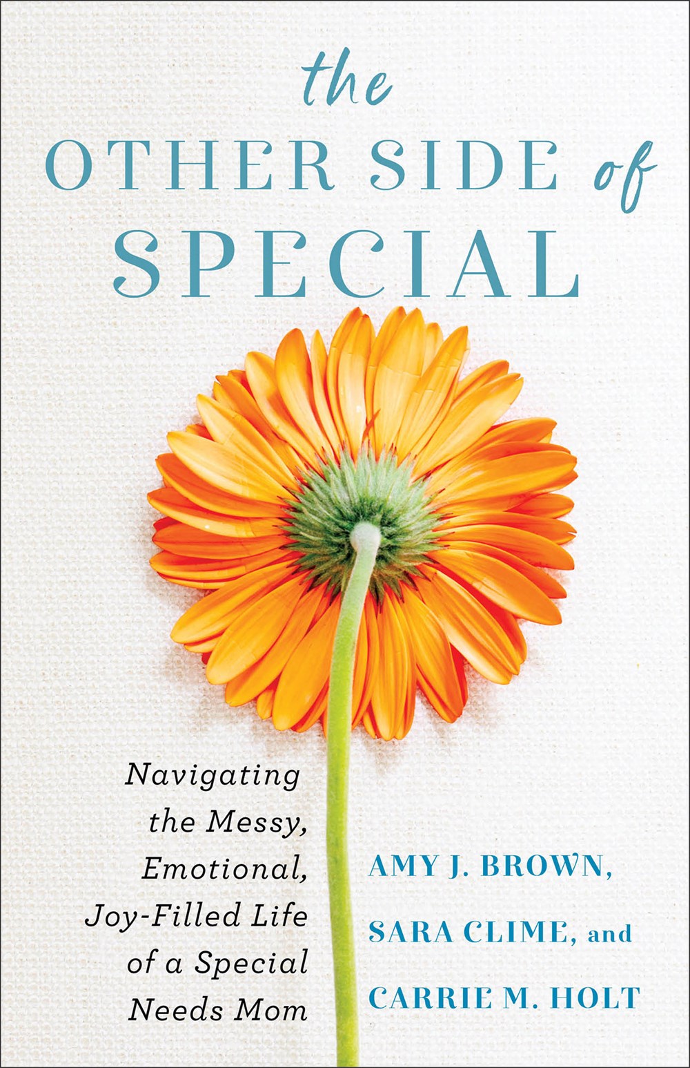 The Other Side of Special : Navigating the Messy, Emotional, Joy-Filled Life of a Special Needs Mom