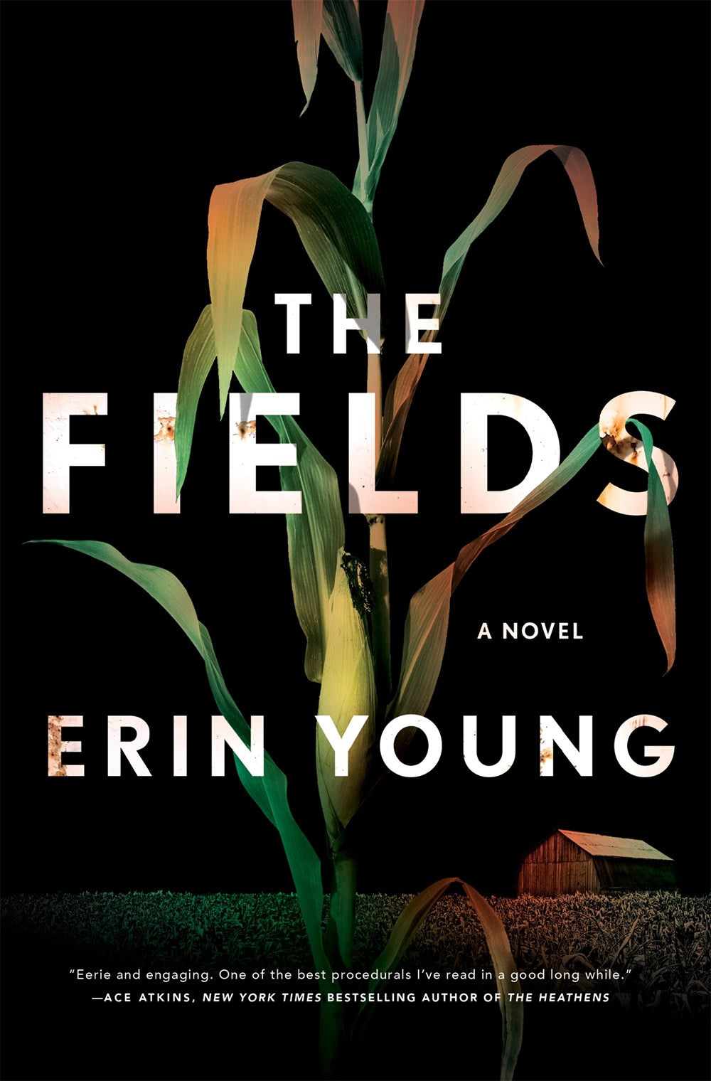 The Fields : A Novel