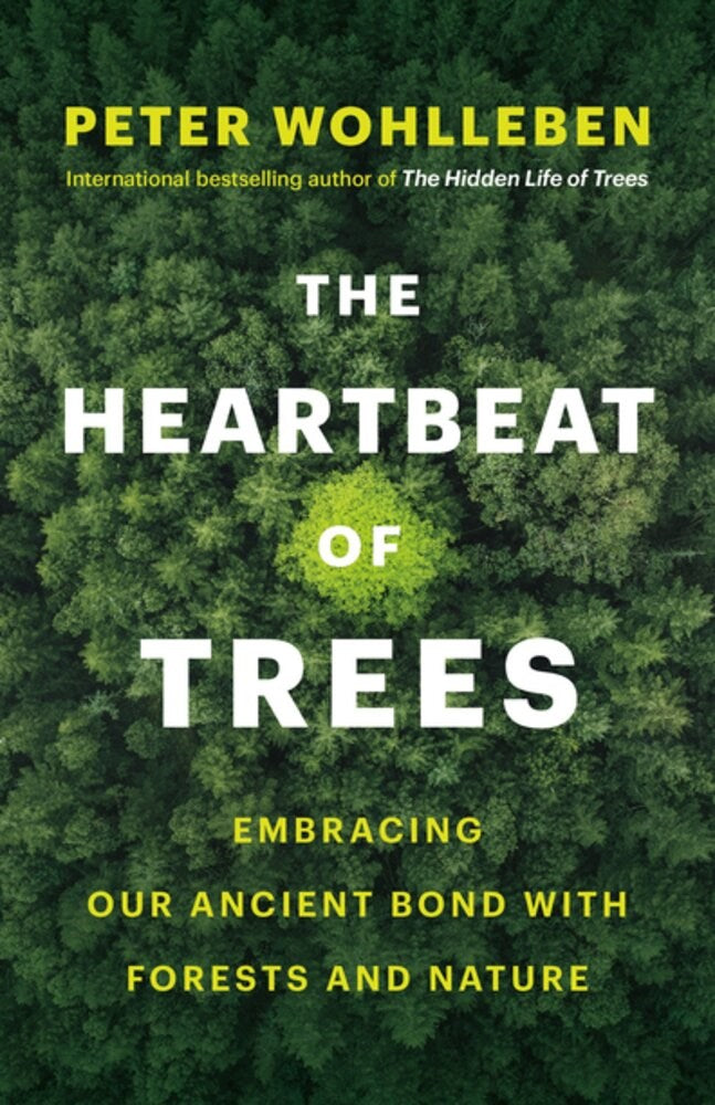 The Heartbeat of Trees : Embracing Our Ancient Bond with Forests and Nature