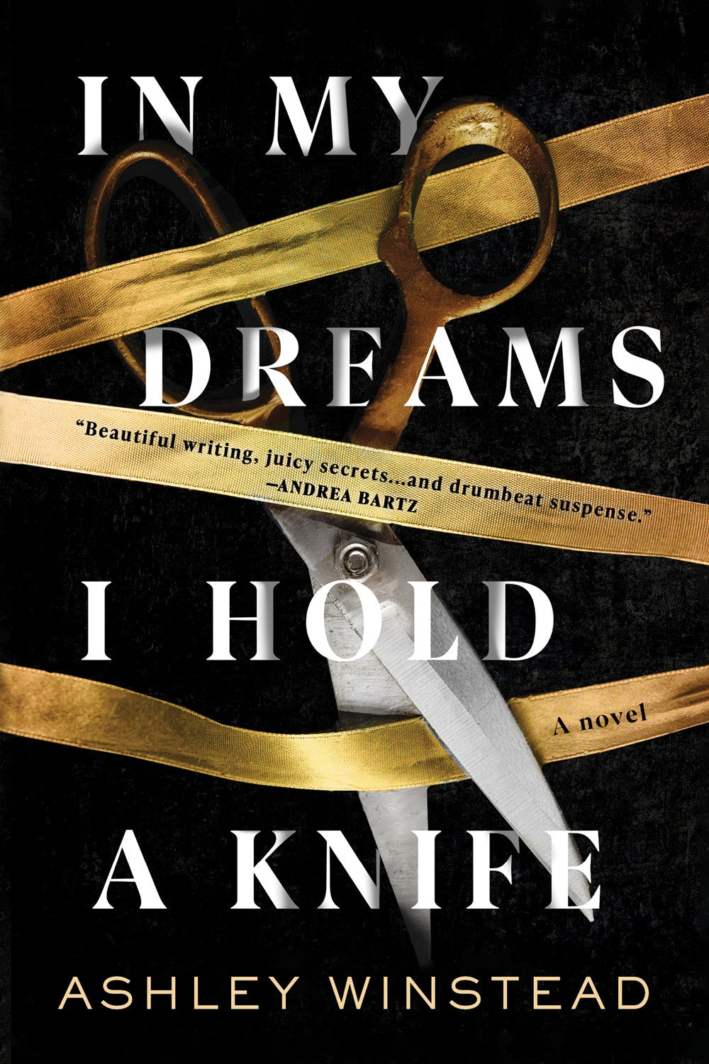 In My Dreams I Hold a Knife : A Novel